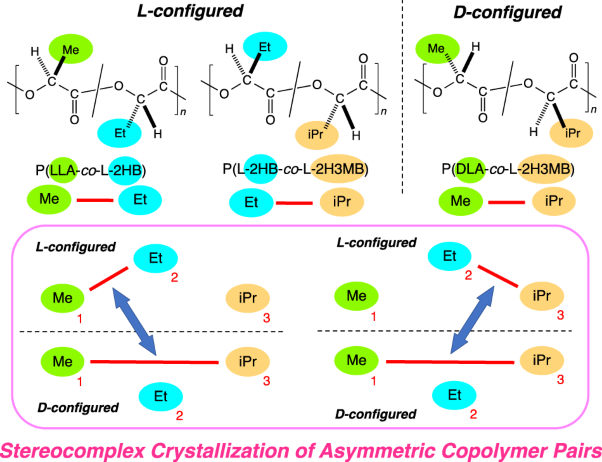 Stereocomplex crystallization behavior and properties of asymmetric combinations of oppositely configured random copolymers based on chiral 2-hydroxyalkanoic acids