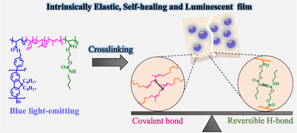 Intrinsically elastic and self-healing luminescent polyisoprene copolymers formed via covalent bonding and hydrogen bonding design