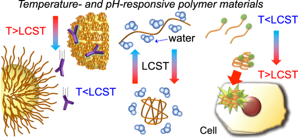Poly(<i>N</i>-isopropylacrylamide)-based temperature- and pH-responsive polymer materials for application in biomedical fields
