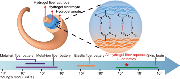 Ultrasoft all-hydrogel aqueous lithium-ion battery with a coaxial fiber structure