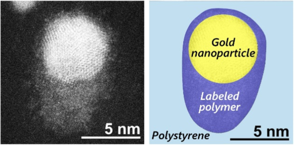 Morphologies of polymer chains adsorbed on inorganic nanoparticles in a polymer composite as revealed by atomic-resolution electron microscopy