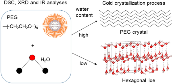 Comparative study of PEG and PEGylated dendrimers in their eutectic mixtures with water analyzed using X-ray diffraction and infrared spectroscopy