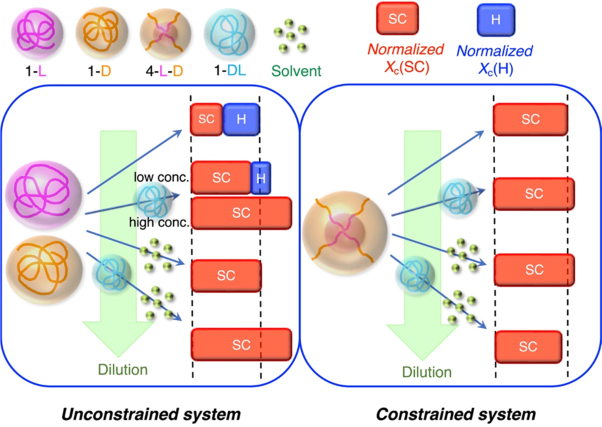 Comparative study on the effects of incorporating poly(<span class="small-caps u-small-caps">d</span>,<span class="small-caps u-small-caps">l</span>-lactide) and solvent on stereocomplex crystallization and homocrystallization in unconstrained and constrained poly(<span class="small-caps u-small-caps">l</span>-lactide)/poly(<span class="small-caps u-small-caps">d-</span>lactide) systems