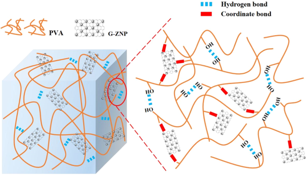 Hydrophilic and absorption properties of reversible nanocomposite polyvinyl alcohol hydrogels reinforced with graphene-doped zinc oxide nanoplates for enhanced antibacterial activity