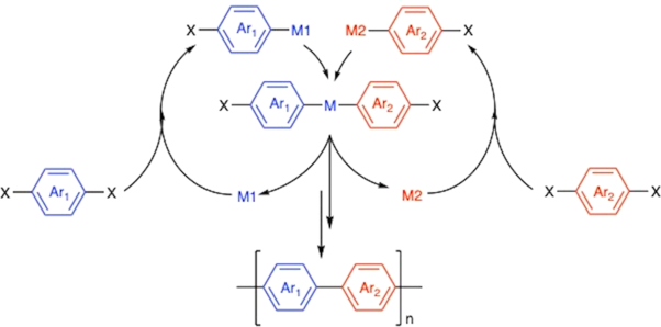 Synergistic catalysis for the synthesis of semiconducting polymers
