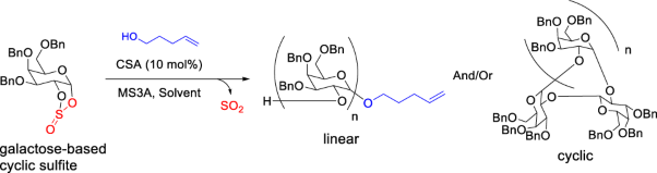 Brønsted acid-catalyzed ring-opening polycondensation of galactose-based cyclic sulfite