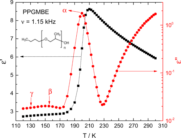 Primary and secondary relaxation processes in poly(propylene glycol) monobutyl ether: a broadband dielectric spectroscopy investigation