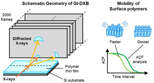 Observation of molecular motions in polymer thin films by laboratory grazing incidence diffracted X-ray blinking