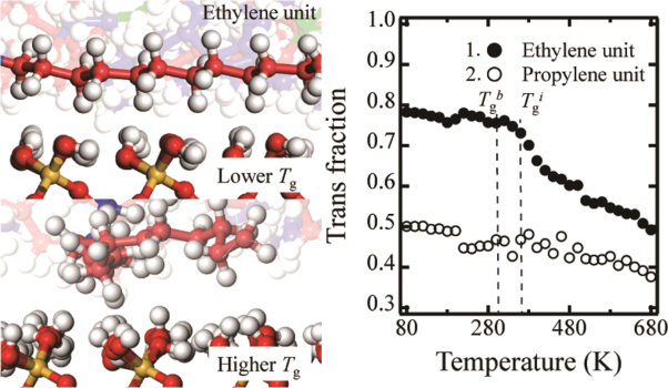 Conformational relaxation of ethylene-propylene-diene terpolymer at a solid interface