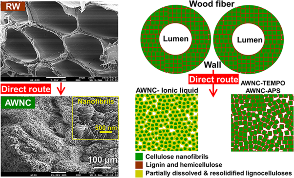 Simultaneous/direct chemomechanical densification and downsizing of weak paulownia wood to produce a strong, unidirectional, all-wooden nanocomposite