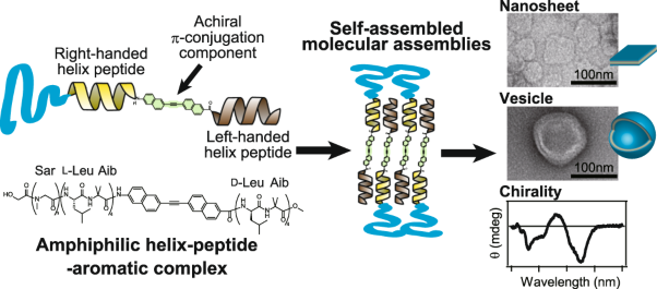Supramolecular chiral emergence in water even after compensating for helix chirality in vesicular helix-peptide-aromatic frameworks