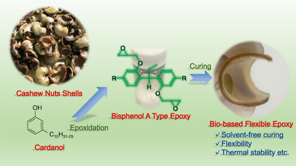 Novel bio-based flexible bisphenol epoxy resin derived from cashew nut shell liquid