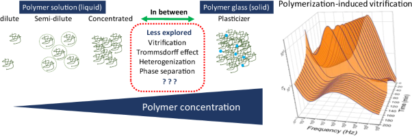 Polymerization-induced vitrification, apparent phase separation, and reaction acceleration during bulk polymerization