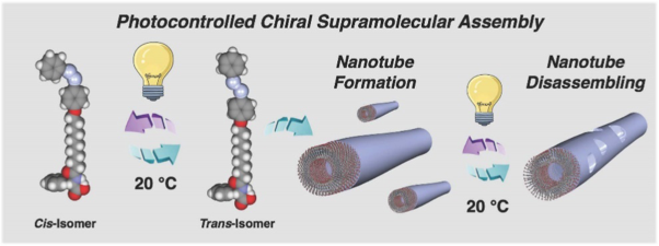 Photocontrolled chiral supramolecular assembly of azobenzene amphiphiles in aqueous media