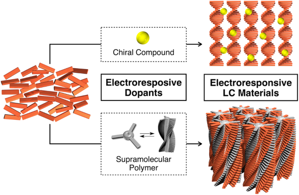 Development of electroresponsive functional soft materials by electroresponsive dopants