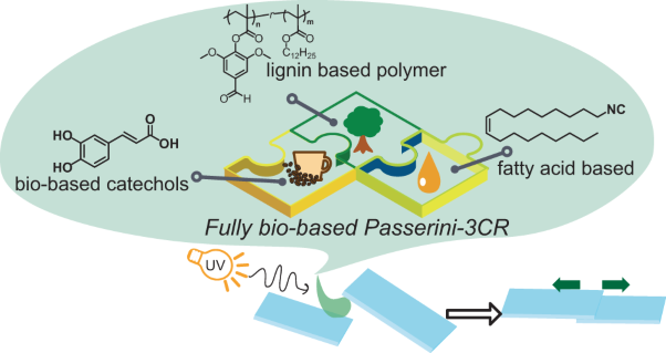 Synthesis of photoresponsive biobased adhesive polymers via the Passerini three-component reaction