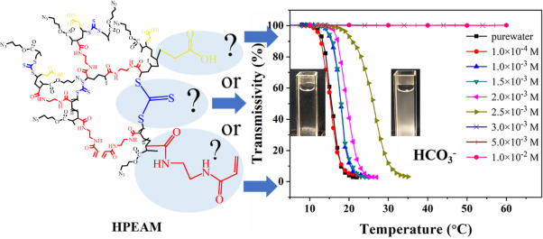 Study of the temperature/HCO<sub>3</sub><sup>-</sup> response mechanism of hyperbranched poly(bis-acrylamide)s