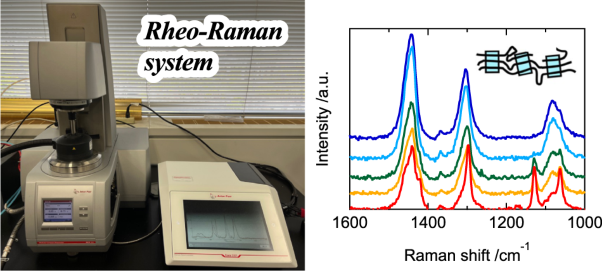 Flow-induced crystallization behavior of high-density polyethylene evaluated by Rheo-Raman spectroscopic system