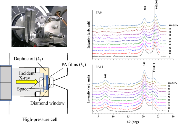 Study on the elasticity of the crystalline lattice of <i>α</i>´-phase polyamide 6 and 11 under hydraulic pressures up to 100 MPa