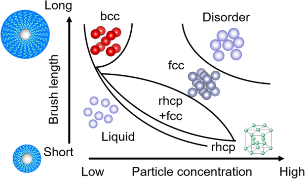 Unified explanation for self-assembly of polymer-brush-modified nanoparticles in ionic liquids