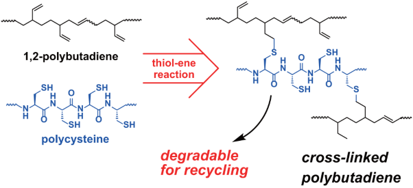 Cross-linking polybutadiene rubber via a thiol-ene reaction with polycysteine as a degradable cross-linker