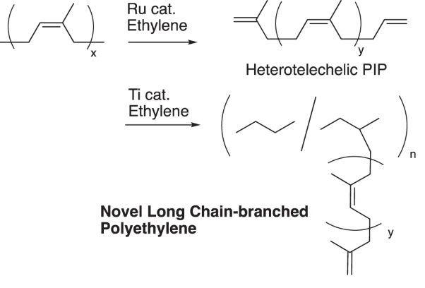 Selective synthesis of α-vinyl-ω-vinylidene-oligoisoprene as a macromonomer via ethenolysis of polyisoprene