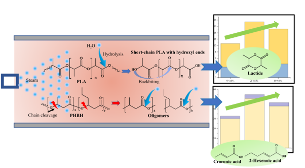 Characteristics of the steam degradation of poly(lactic acid) and poly(3-hydroxybutyrate-<i>co</i>-3-hydroxyhexanoate)