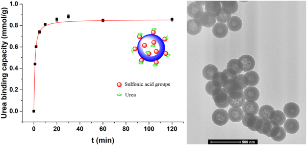 Synthesis and urea adsorption capacity of a strong, acidic hollow nanoparticle