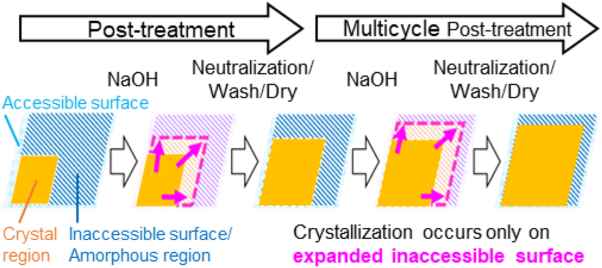 Crystallinity improvements in cellulose II after multiple posttreatment cycles with a dilute NaOH solution