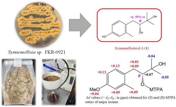 A novel aromatic compound from the fungus <i>Synnemellisia</i> sp. FKR-0921