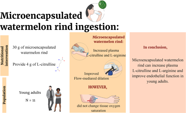 Effect of microencapsulated watermelon (<i>Citrullus Lanatus</i>) rind on flow-mediated dilation and tissue oxygen saturation of young adults