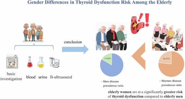 Gender based disparities in thyroid dysfunction among the elderly: elevated prevalence in women