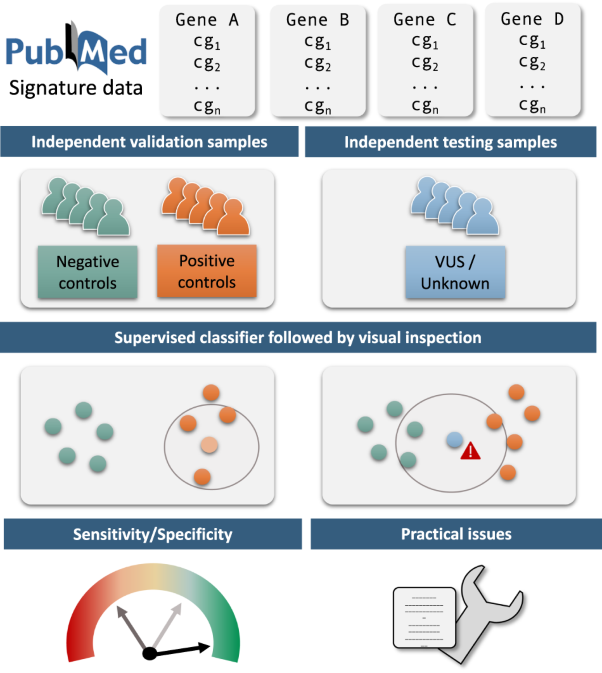 Episignatures in practice: independent evaluation of published episignatures for the molecular diagnostics of ten neurodevelopmental disorders