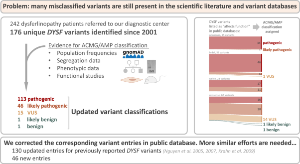 Retrospective analysis and reclassification of <i>DYSF</i> variants in a large French series of dysferlinopathy patients