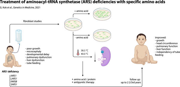 Treatment of ARS deficiencies with specific amino acids