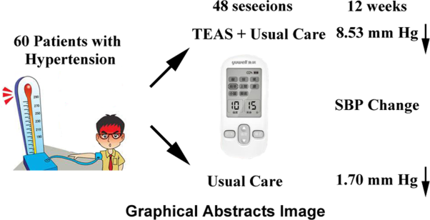 Home-based transcutaneous electrical acupoint stimulation for hypertension: a randomized controlled pilot trial