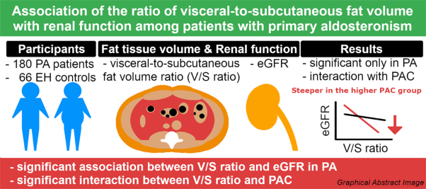 Association of the ratio of visceral-to-subcutaneous fat volume with renal function among patients with primary aldosteronism