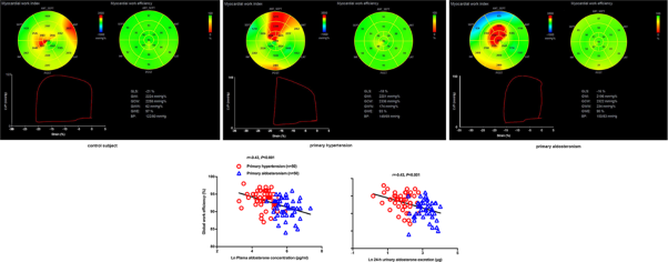 A non-invasive left ventricular pressure-strain loop study on myocardial work in primary aldosteronism