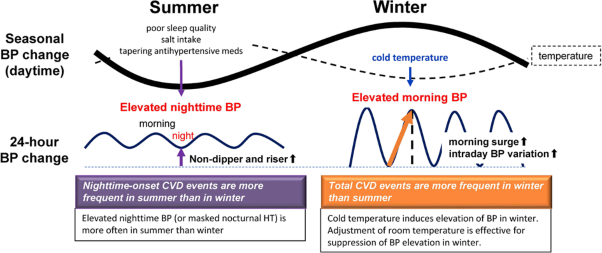 Seasonal variation in blood pressure: current evidence and recommendations for hypertension management