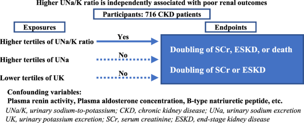 Association between the urinary sodium-to-potassium ratio and renal outcomes in patients with chronic kidney disease: a prospective cohort study