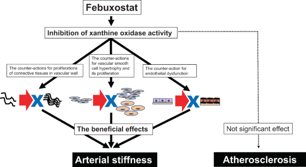 Differential effect of a xanthine oxidase inhibitor on arterial stiffness and carotid atherosclerosis: a subanalysis of the PRIZE study