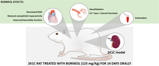 Borneol reduces sympathetic vasomotor hyperactivity and restores depressed baroreflex sensitivity in rats with renovascular hypertension