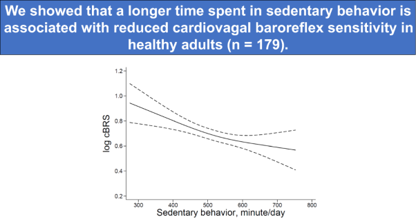 Sedentary behavior is associated with reduced cardiovagal baroreflex sensitivity in healthy adults