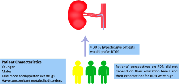 Patient preference for renal denervation therapy in hypertension: A cross-sectional survey in Chengdu, China