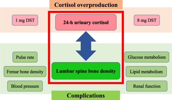 Urinary free cortisol excretion is associated with lumbar bone density in patients with adrenal Cushing’s syndrome