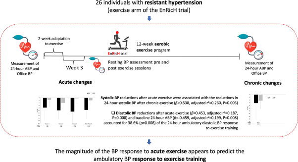 The blood pressure response to acute exercise predicts the ambulatory blood pressure response to exercise training in patients with resistant hypertension: results from the EnRicH trial