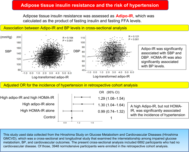 Adipose tissue insulin resistance predicts the incidence of hypertension: The Hiroshima Study on Glucose Metabolism and Cardiovascular Diseases