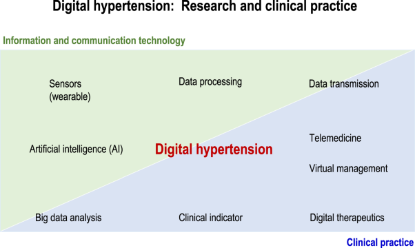 Digital Hypertension 2023: Concept, hypothesis, and new technology