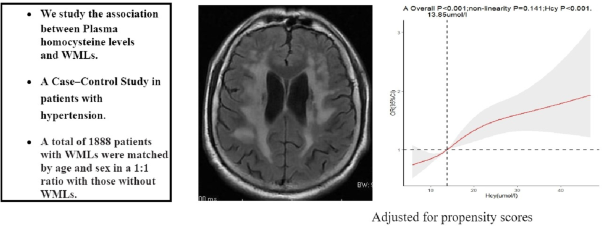 Dose–response association between plasma homocysteine and white matter lesions in patients with hypertension: a case–control study