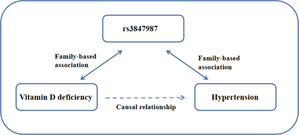 Evidence of a casual relationship between vitamin D deficiency and hypertension: a family-based study